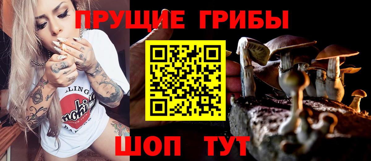 НБОМе Зеленогорск
