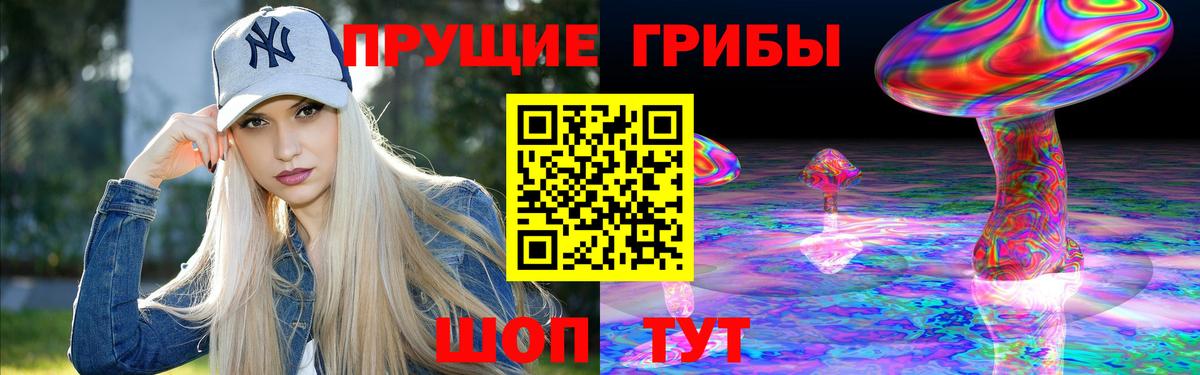Зеленогорск  Галлюциногенные грибы мухоморы  Вход с VPN  Галлюциногенные грибы мицелий 